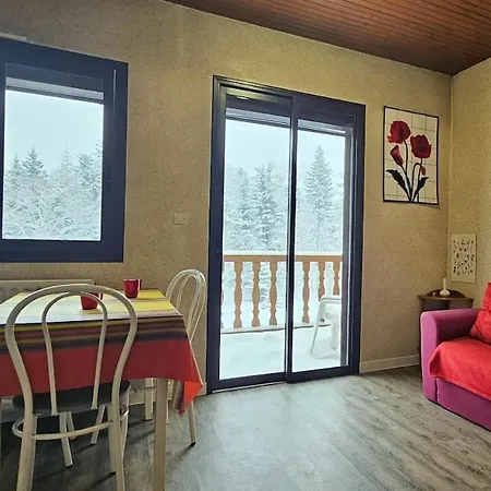 Appartement Confortable Et Fonctionnel à 150m Des Pistes Montferrier