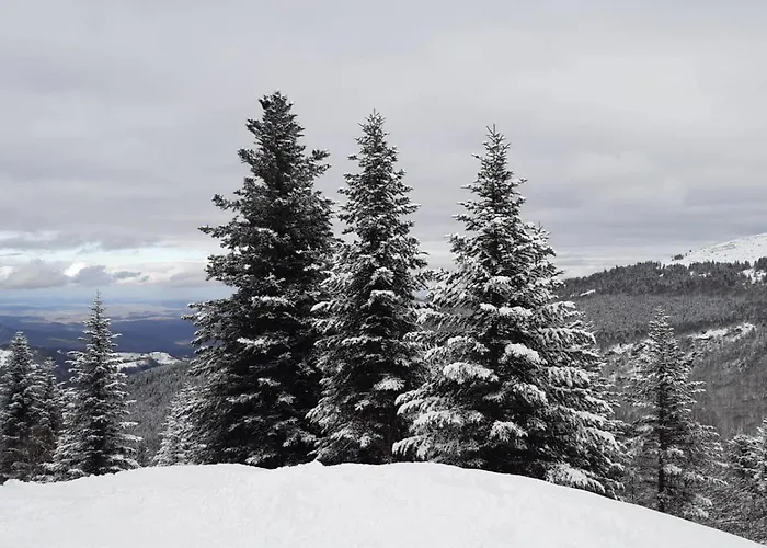 Confortable Et Fonctionnel A 150m Des Pistes Montferrier